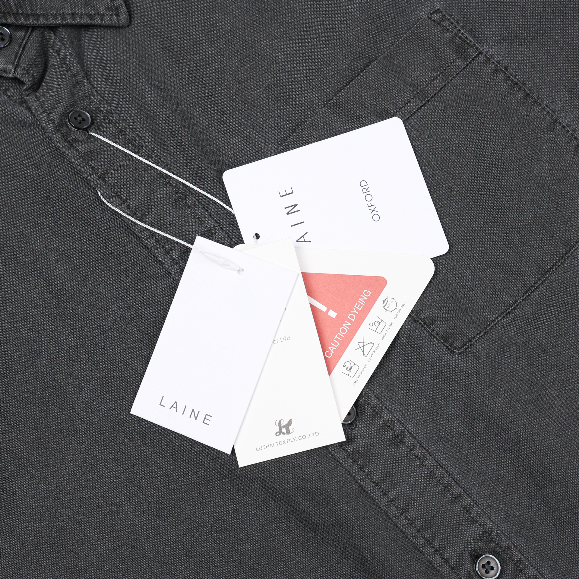 Pigment Oxford Shirt 2